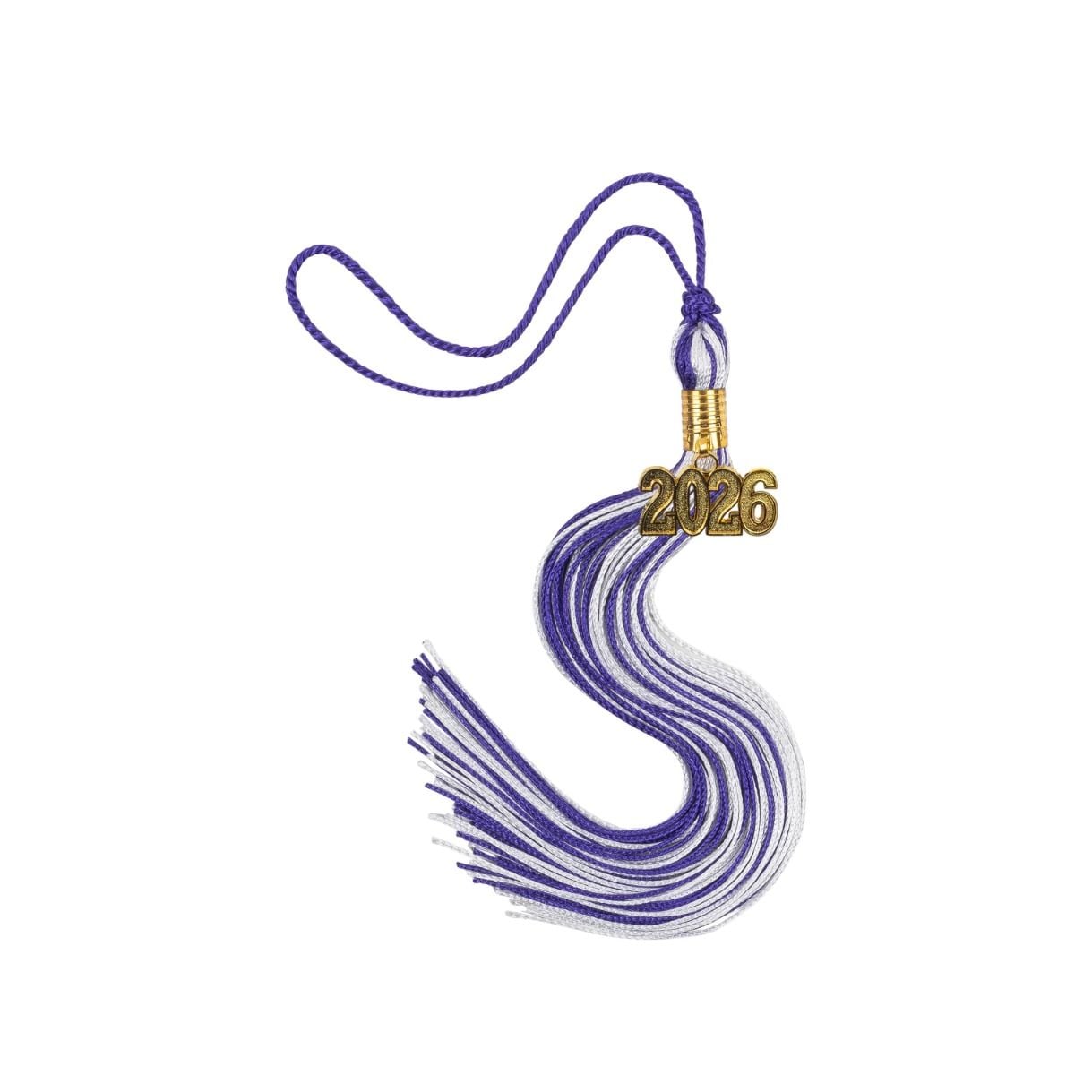 2 Color Graduation Tassel | GraduationSource display picture 1