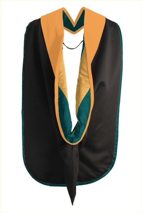 Rasmussen University Doctorate Graduation Hood